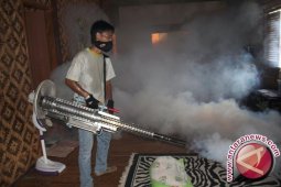 Kasus DBD di Jambi menurun
