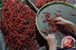 Warga Pangkalpinang Keluhkan Harga Cabai Tinggi