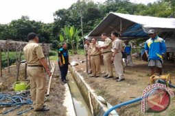 PENINJAUAN LAHAN HORTIKULTURA