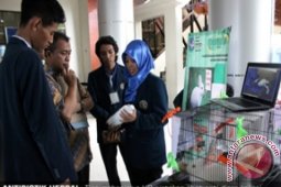 Mahasiswa UB Ciptakan Obat Diare untuk Kelinci