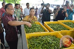 Menteri BUMN Kunjungi Pabrik Kedalai Edamame
