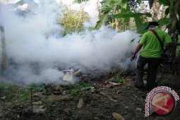 Puskesmas Penajam Cegah DBD Melalui "Fogging"