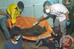 SAR Banjarmasin evakuasi satu jenazah korban gempa