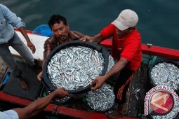 KKP Alokasikan Bantuan Perikanan Tangkap Rp1,4 Triliun