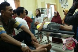 Dua warga Rejanglebong diseruduk babi ngamuk