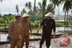 Padangsidimpuan Mampu Menciptakan Swasembada Pangan