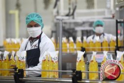 Pemerintah Indonesia minta Uni Eropa tidak diskriminasi minyak sawit