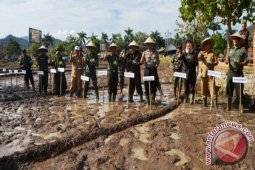 Pemko Padangsidimpuan Gelar Demplot Tanam Padi