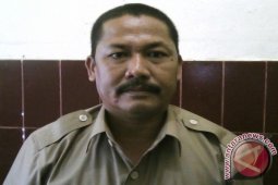 Petani Aceh Barat Waspada Serangan Hama