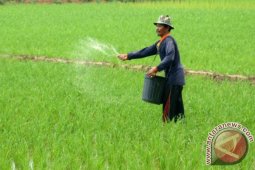 Kuota Pupuk Bersubsidi Tulungagung Turun 20 Persen