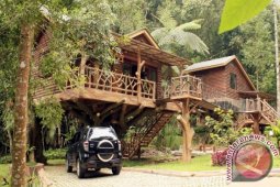 Taman Safari Indonesia Luncurkan Layanan Rumah Pohon