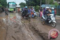 Banjir Bandang Situbondo Juga Rusak Tanaman Lombok