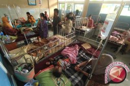 398 warga Jambi terserang DBD selama Januari