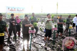 Kementan Harapkan Sasaran Tanam Penajam 16.800 hektare