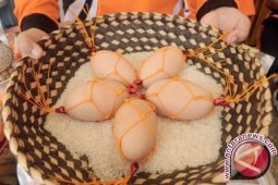 WCS Lepaskan 939 Anak Maleo Sepanjang 2016