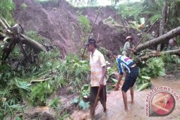 Sejumlah Wilayah di Jember Alami Longsor
