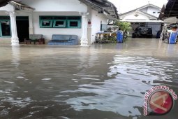 Banjir Genangi Rumah dan Jalan di Jember