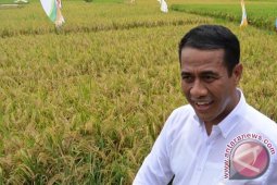 Menteri Pertanian