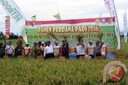 Mentan Janji Tidak Akan Impor Beras