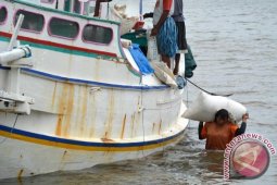 Harga Garam Naik