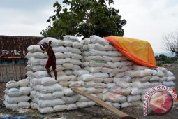 Harga Garam Naik