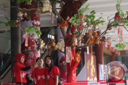 POHON BONEKA MONYET