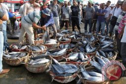 Cuaca buruk harga ikan di Singkil melambung