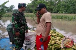TNI Sosialisasikan Titik Aman Banjir Gresik