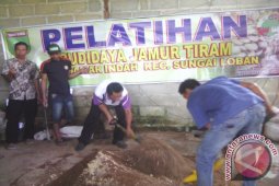Tanah Bumbu Latih Warga Budidayakan Jamur Tiram