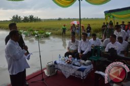 Bupati Sambut Kunjungan Mentan