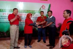 Peneliti: Tanaman vetiver mampu cegah longsor dan erosi