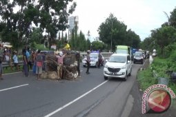 Mobil Pengangkut Ratusan Ayam Terguling