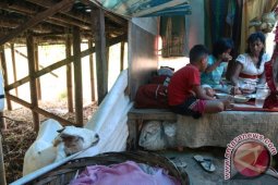 TINGGAL DI SAMPING KANDANG KAMBING