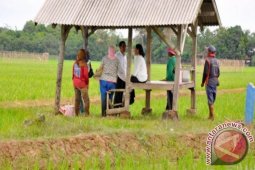 Kelompok Tani Sisihkan sebagian Keuntungan Perkuat Kelembagaan
