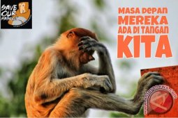 SBI Apresiasi Penangkapan Pembunuh Bekantan