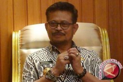 Syahrul: belum waktunya gubernur tangani kisruh Gowa