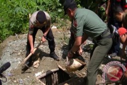 Petugas Gabungan Tutup Tambang Emas di Jember