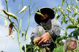 Tekad Jatim Jaga dan Tingkatkan Produksi Pangan