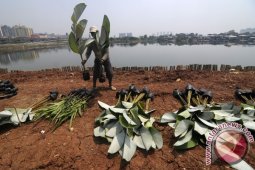 Pembangunan Kota Harus Selaras Dengan Alam