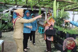 Pemerintah Imbau Masyarakat Optimalkan Lahan Pekarangan
