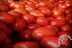 Stok Sayur di Pangkalpinang Cukup