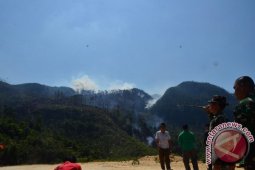 Puluhan Hektare Lahan Terbakar di Tapsel