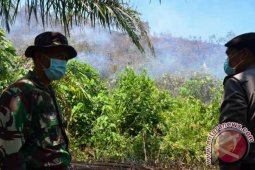 Pemkab Tapsel Upayakan Pemadaman Lahan Terbakar