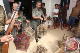PEMBURU BURUNG DI TAMAN NASIONAL