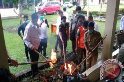 BNN Jambi musnahkan sembilan kilogram ganja