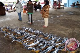 Musim Paceklik Nelayan Jember Beralih Gunakan Jaring