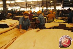 Industri Kayu Lapis  Menggeliat