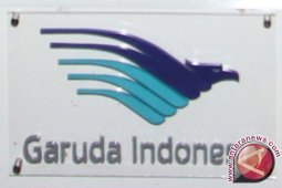 Kemenpora lobi Garuda untuk bantu Rio Haryanto