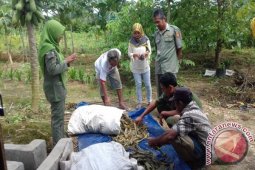 Petani Tanah Bumbu Dilatih Membuat Pakan Ternak