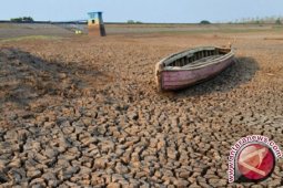 Perubahan Iklim Dapat Timbulkan 500.000 Kematian Tambahan Pada 2050